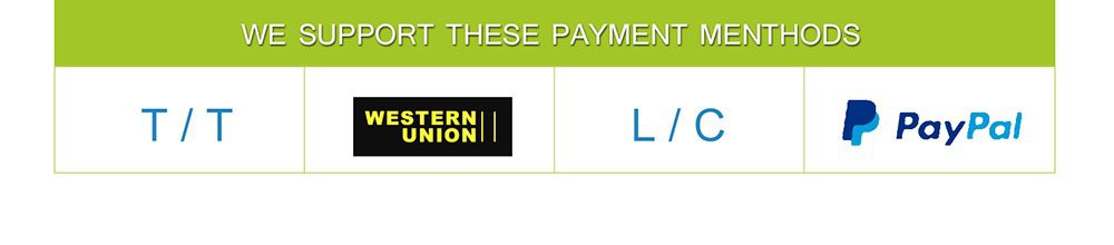 China freeze dried lemon Slices