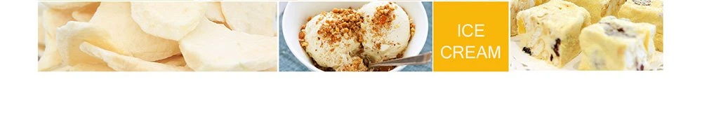 freeze dried lemon Powder price