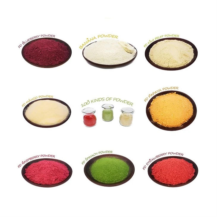 Dried Lemon Powder